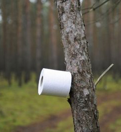 amalgame-papier-toilette-camping